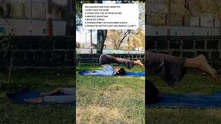 halasana yoga fitnessnaturehealth stressrelief yogateacher mentalhealth shorts shortvideo [upl. by Daus317]