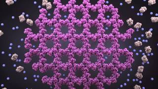 International Space Station Protein Crystal Growth [upl. by Anek]