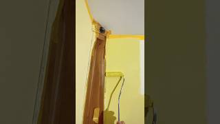 how to paint walls how paint painting walls work mywork job building [upl. by Tsiuqram]