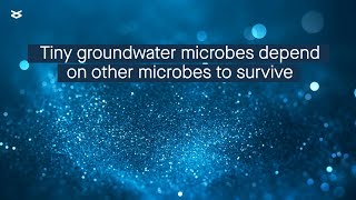 New insight into the hostdependent lifestyle of tiny bacterial group called Gracilibacteria [upl. by Nnaegroeg]