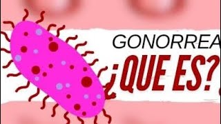 Presentación sobre la Gonorrea que es como se transmite prevención estadísticas etc [upl. by Guildroy285]