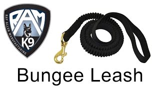 Bungee Leash for Dogs by Ray Allen Manufacturing [upl. by Nosredneh]