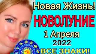 НОВАЯ ЖизньНОВОЛУНИЕ 1042022 годаЧТО БУДЕТ c 130 АПРЕЛЯ 2022 Подготовка к ЗатмениюOlga Stella [upl. by Gustie]