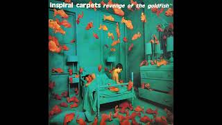 INSPIRAL CARPETS – Revenge Of The Goldfish – 1992 – Full album – Vinyl [upl. by Karlotte]