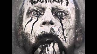 SONNE Rammstein Cover  Caliban [upl. by Iznek]