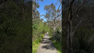 Hindmarsh falls falls southaustralia nature [upl. by Tobey]