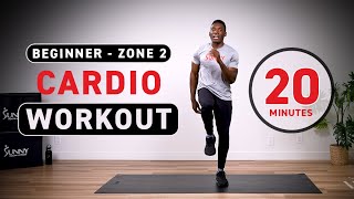 Beginner Zone 2 Cardio Workout  BODYWEIGHTNO EQUIPMENT  20 Minutes [upl. by Eedrahc]