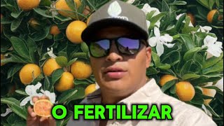 Con que fertilizar para la floración en cítricos dulces 🍊🔝🌸 [upl. by Assiled53]