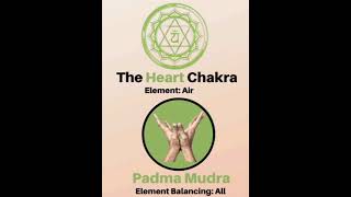 7 Yoga Mudras to Unlock 7 Chakras [upl. by Wildermuth323]