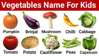 Vegetables name in English with pictures  Vegetables name with pictures  Vegetables vocabulary [upl. by Fredericka]