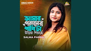 Amar Poraner Pakhi Ta Uriya Giyace [upl. by Ainahpets]