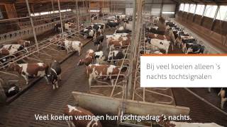 Nedap Tochtdetectie en Gezondheid Monitoring de basis voor succes in de melkveehouderij [upl. by Adnirim]