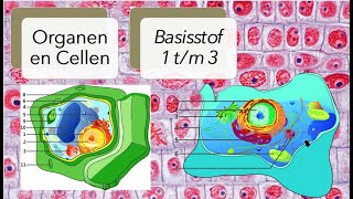 Thema 1 Organen en cellen basisstof 1 tm 3 [upl. by Eentruok]