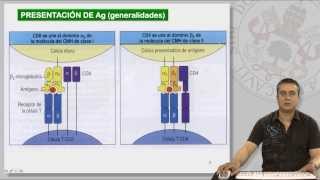 102 EL COMPLEJO PRINCIPAL DE HISTOCOMPATIBILIDAD II [upl. by Yahiya]