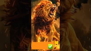 Lion 🦁 Roar  lion sounds  New lion music lionroar lions lionking lion cartoon lion movie [upl. by Hayes]