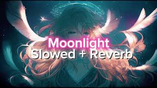 Moonlight  HarnoorSlowed  Reverb  ll MusicVibe [upl. by Haliehs]