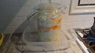 fermented cabbage [upl. by Truda]