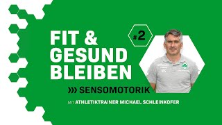 Fit und gesund bleiben 2 Sensomotorik  mit Athletiktrainer Michael Schleinkofer [upl. by Surazal428]