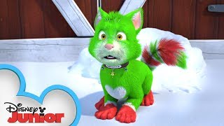 Official Trailer 🎄 Spookley and the Christmas Kittens  Disney Junior [upl. by Zehc]