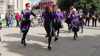 Mortimers Morris dance Carr Lodge Polka in York 2019 [upl. by Eerat]