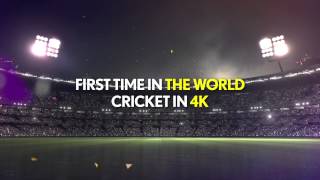 Cricket in 4K  For the first time in the world [upl. by Enirak]