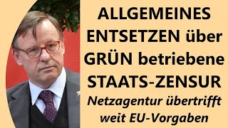 Fassungslosigkeit bei linken Journalisten Verfassungs und Medienrechtlern über ZensurGrün [upl. by Ahsima]