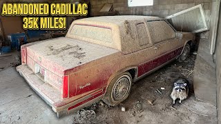 Cadillac Coupe DeVille ABANDONED With 35k Original Miles First Wash in 21 Years [upl. by Aytnahs]