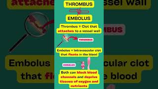 Thrombus VS Embolus EXPLAINED [upl. by Aillemac]