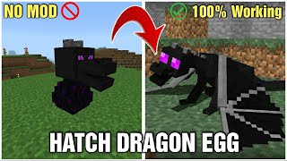 How to hatch a dragon egg in minecraft  Step by step tutorial bedrockjava 100 working [upl. by Aidil885]