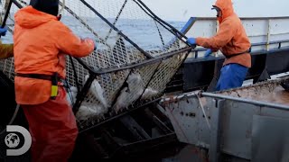 Los guardacostas realizan una inspección a un barco pesquero Pesca Mortal  Discovery Latinoamérica [upl. by Ailem617]