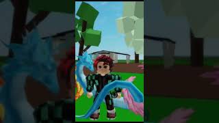 Roblox vs anime demonslayer naoflopa anime [upl. by Barnabas679]