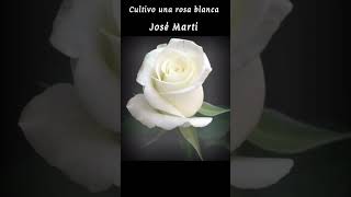 Cultivo una rosa blanca josémartí poesíarecitada poemas [upl. by Goltz997]