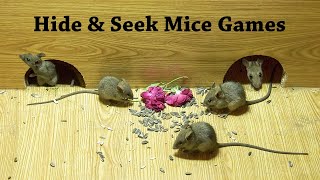 Cat Games  Mice Hide and Seek For cats To Watch amp Enjoy with Night Crackers Sound  4k UHD [upl. by Kcirdneked809]