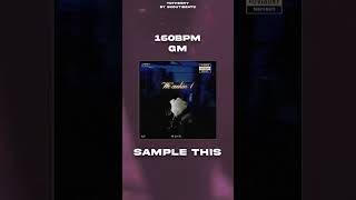 Sample This  To The Sky from quotwe cookin 1quot Trap Loop Kit  Dark Trap Sample Pack [upl. by Irwinn126]