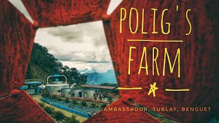 Discover Poligs Farm The Hidden Gem of Ambassador Tublay You Need to Experience [upl. by Atteuqehs10]