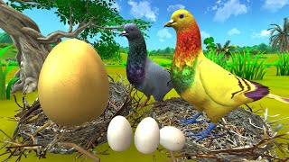 सुनहरा अंडा कबूतर  GOLDEN EGG PIGEON Kahani  Hindi Kahaniya New  Hindi Moral Stories Fairy Tales [upl. by Drofnelg334]