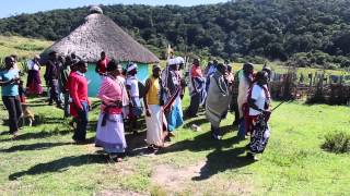 Xhosa traditional event  Lubanzi Eastern Cape South Africa [upl. by Kciredohr]