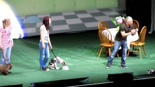 puppy cesar millan ahoy [upl. by Darbee]