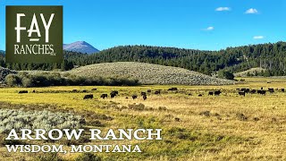 Tour of Montana Ranch For Sale  Arrow Ranch  14982± Acres  Big Hole Valley Montana [upl. by Fairfield]