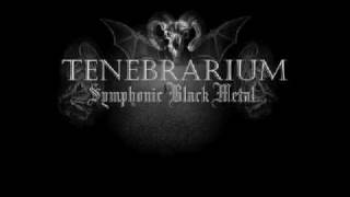 Sinfull agony  Tenebrarium [upl. by Erdrich]