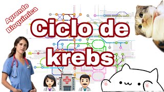 Ciclo de Krebs LO MÁS IMPORTANTE [upl. by Arammat]