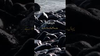 surah al hajjar surahhajar shortvideo [upl. by Maud]