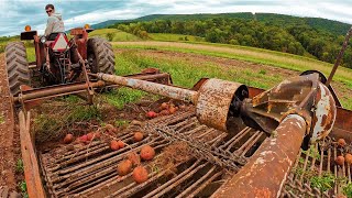 A Great Day In The Potato Field [upl. by Aratahs]