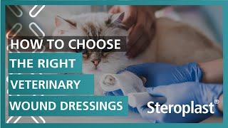 How to Choose the Right Veterinary Wound Dressings  Steroplast Healthcare [upl. by Giltzow]