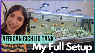 Full African Cichlid Tank Setup  My 6ft Lake Malawi Aquarium [upl. by Crabb165]