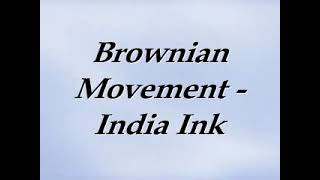 Brownian Motion in India Ink [upl. by Lirrehs783]