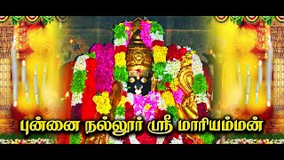 Punnai Nallur Mariamma Song  புன்னைநல்லூர் ஸ்ரீ மாரியம்மன் [upl. by Naggem626]