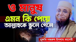 নজরুল ইসলাম কাসেমী নতুন ওয়াজ ২০২৪ । nojrul islam kasemi। নজরুল ইসলাম কাসেমী। WAZ 2024 । কাসেমী ওয়াজ [upl. by Batchelor494]