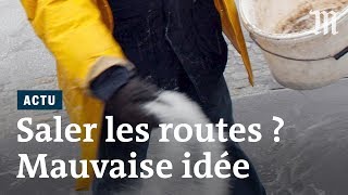 Pourquoi il faut arrêter de saler massivement les routes [upl. by Ielhsa]