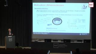 Mechanobiology and mathematical modeling of atheroma plaque initiation and development [upl. by Maurer]